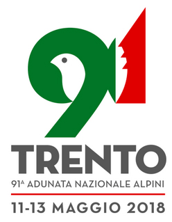 S. Messa Adunata nazionale Alpini 2018