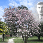 missionari martiri 2026_Dall'Oglio