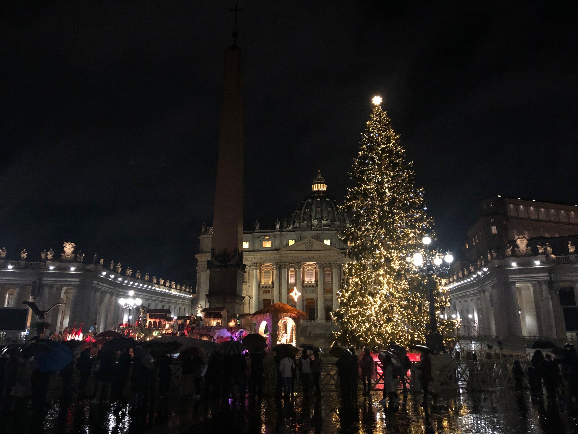 Vaticano, in Piazza San Pietro l'albero di Natale arriverà dalla Val di