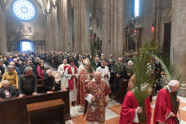 Domenica delle Palme