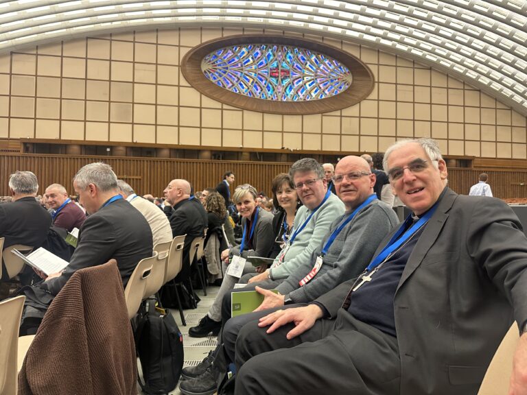 Assemblea sinodale Chiesa italiana 31 marzo 2025