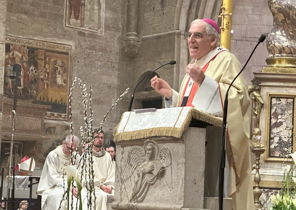 Messa elezione papa