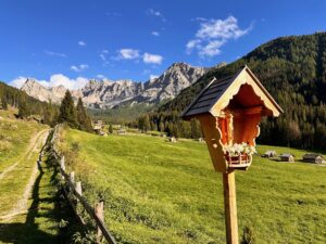 Fassa Val San Nicolo